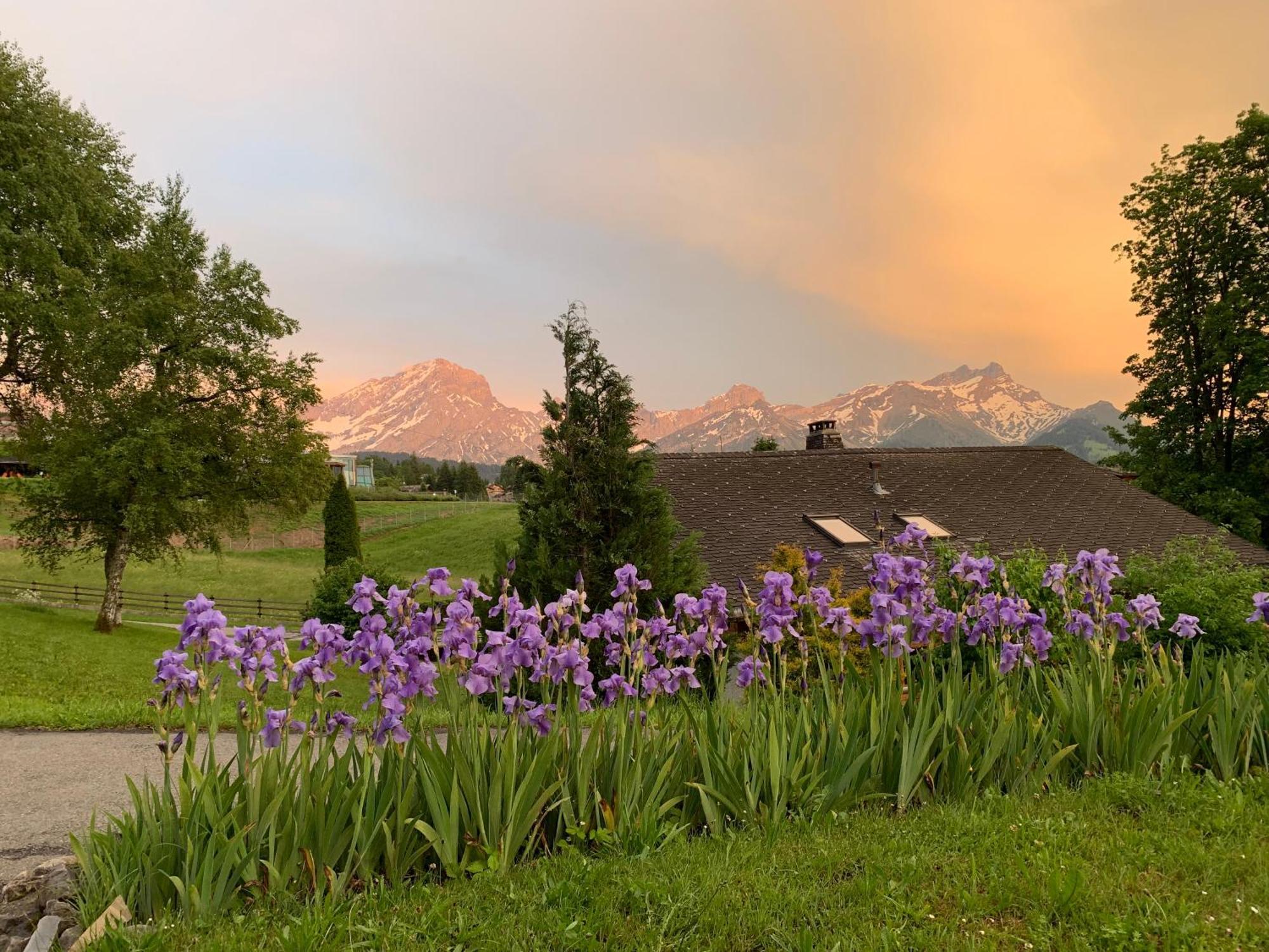 Chalet La Renarde Villars-sur-Ollon Oda fotoğraf