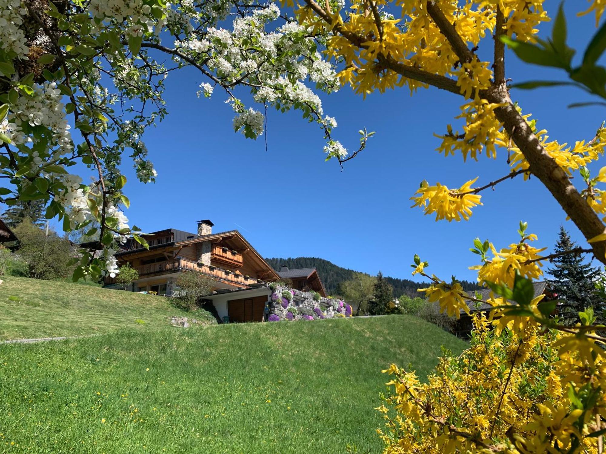Chalet La Renarde Villars-sur-Ollon Dış mekan fotoğraf
